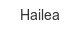hailea