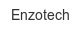 enzotech