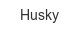husky