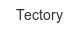 tectory