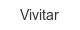 vivitar