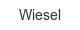 wiesel