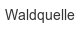 waldquelle