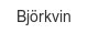 Björkvin bjoerkvin