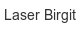 laser-birgit