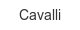 cavalli