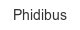 phidibus