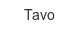 tavo