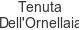 tenuta-dell-ornellaia