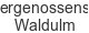 winzergenossenschaft-waldulm