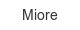 miore