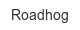 roadhog