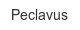 peclavus