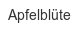 apfelbluete