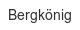 bergkoenig