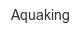 aquaking