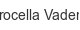 procella-vadens