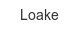 loake