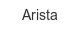 arista