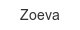 zoeva