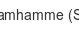 steamhamme-spv