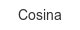 cosina