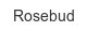 rosebud