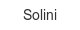 solini
