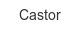 castor