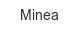 minea