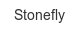stonefly