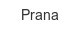 prana