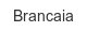 brancaia
