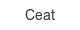 ceat