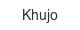Khujo khujo