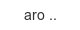 aro