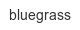 bluegrass
