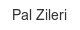 pal-zileri