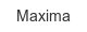 Maxima maxima