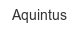 aquintus