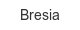 bresia