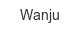 wanju