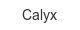 calyx