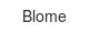 blome
