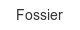 fossier