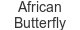 african-butterfly