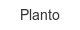 planto