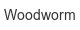 woodworm