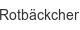 rotbaeckchen