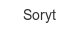 soryt